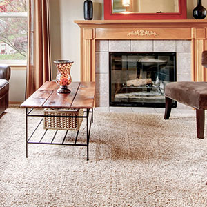 Virginia Beach Carpet Cleaning Rug