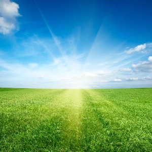 Dry N Clean Sky and Grass Image